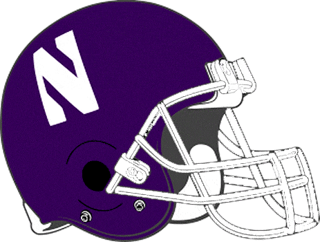 Northwestern Wildcats 1981-1992 Helmet Logo iron on transfers for fabric
